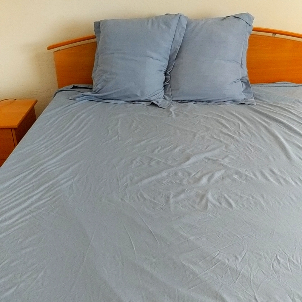 Queen size duvet cover and 2 pillows cover excellent condition moving sale size